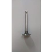 Клапан впускной для двигателя WDA163FA для культиватора SunGarden Т35