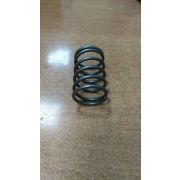 DAW700-2019 M-17 Пружина плунжера мойки DAW700