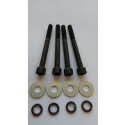 Болт крепления головки цилиндра бензопилы (компл.)